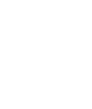 logo-footer